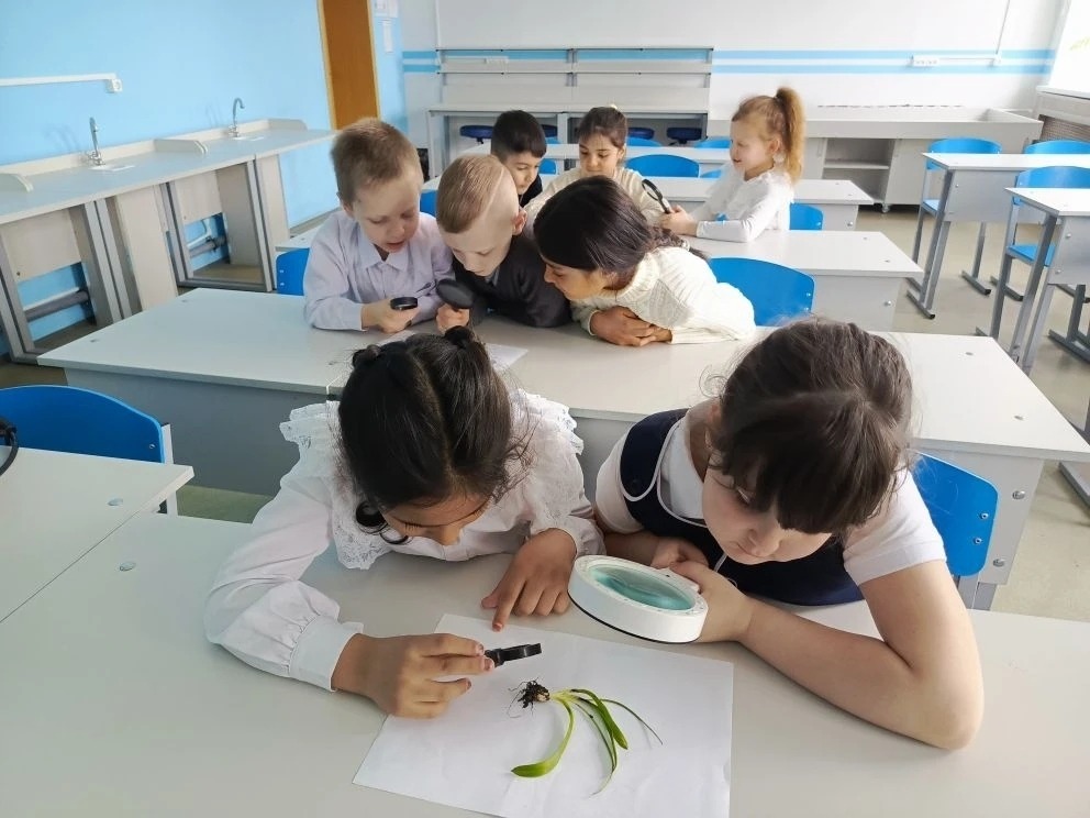 Чудеса науки и природы (2 класс).