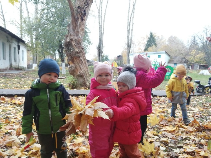 Осенняя прогулка у малышей.