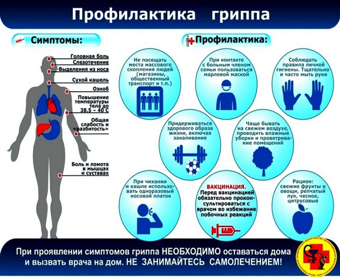 Внимание: грипп, и ОРВИ!.