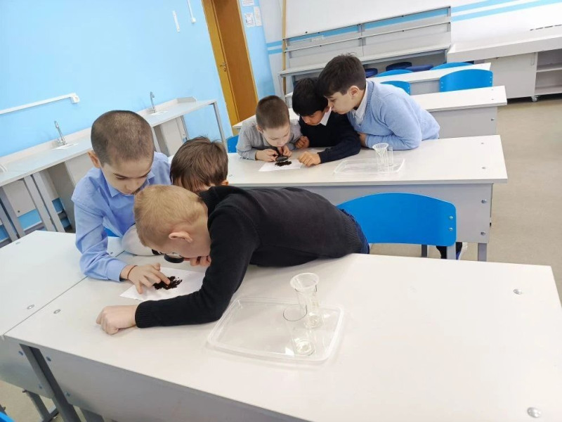 Чудеса науки и природы 2 класс.