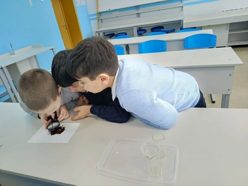 Чудеса науки и природы 2 класс.