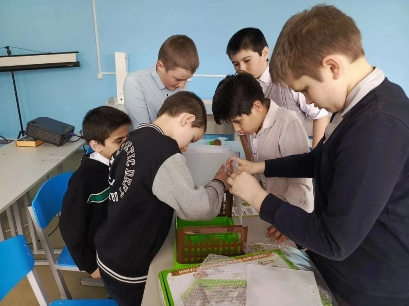 Минитеплица в "Точке роста"..